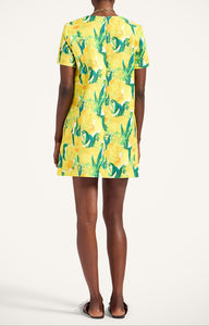 Mini Swing Dress Zesty